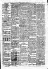 Clare Advertiser and Kilrush Gazette Saturday 09 June 1877 Page 6