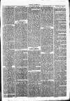 Clare Advertiser and Kilrush Gazette Saturday 25 August 1877 Page 3