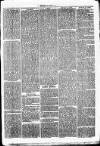 Clare Advertiser and Kilrush Gazette Saturday 01 September 1877 Page 3