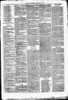 Clare Advertiser and Kilrush Gazette Saturday 01 September 1877 Page 7