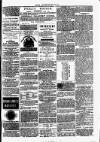 Clare Advertiser and Kilrush Gazette Saturday 08 December 1877 Page 5