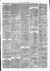 Clare Advertiser and Kilrush Gazette Saturday 08 December 1877 Page 7