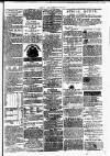 Clare Advertiser and Kilrush Gazette Saturday 05 January 1878 Page 5