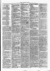 Clare Advertiser and Kilrush Gazette Saturday 05 January 1878 Page 7