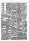 Clare Advertiser and Kilrush Gazette Saturday 19 January 1878 Page 7