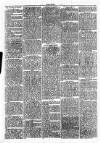 Clare Advertiser and Kilrush Gazette Saturday 16 February 1878 Page 6