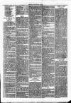 Clare Advertiser and Kilrush Gazette Saturday 20 April 1878 Page 7