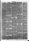 Clare Advertiser and Kilrush Gazette Saturday 08 June 1878 Page 3