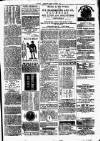 Clare Advertiser and Kilrush Gazette Saturday 07 December 1878 Page 5
