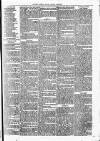 Clare Advertiser and Kilrush Gazette Saturday 07 December 1878 Page 7