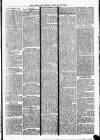 Clare Advertiser and Kilrush Gazette Saturday 14 December 1878 Page 3