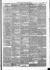 Clare Advertiser and Kilrush Gazette Saturday 14 December 1878 Page 7