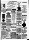 Clare Advertiser and Kilrush Gazette Saturday 21 December 1878 Page 5