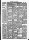 Clare Advertiser and Kilrush Gazette Saturday 21 December 1878 Page 7
