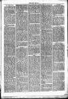 Clare Advertiser and Kilrush Gazette Saturday 02 August 1879 Page 3