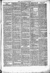 Clare Advertiser and Kilrush Gazette Saturday 02 August 1879 Page 7