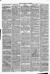 Clare Advertiser and Kilrush Gazette Saturday 29 November 1879 Page 6