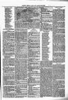 Clare Advertiser and Kilrush Gazette Saturday 29 November 1879 Page 7