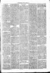 Clare Advertiser and Kilrush Gazette Saturday 03 January 1880 Page 3