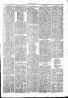 Clare Advertiser and Kilrush Gazette Saturday 03 January 1880 Page 7