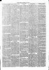 Clare Advertiser and Kilrush Gazette Saturday 24 January 1880 Page 3