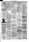 Clare Advertiser and Kilrush Gazette Saturday 24 January 1880 Page 5