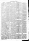 Clare Advertiser and Kilrush Gazette Saturday 31 January 1880 Page 3