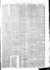 Clare Advertiser and Kilrush Gazette Saturday 31 January 1880 Page 7