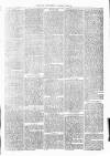 Clare Advertiser and Kilrush Gazette Saturday 06 March 1880 Page 3