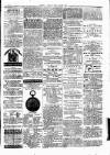 Clare Advertiser and Kilrush Gazette Saturday 06 March 1880 Page 5