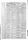 Clare Advertiser and Kilrush Gazette Saturday 06 March 1880 Page 7