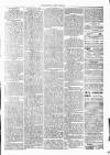 Clare Advertiser and Kilrush Gazette Saturday 13 March 1880 Page 3