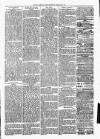Clare Advertiser and Kilrush Gazette Saturday 20 March 1880 Page 3