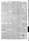 Clare Advertiser and Kilrush Gazette Saturday 27 March 1880 Page 3