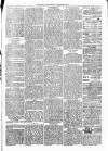 Clare Advertiser and Kilrush Gazette Saturday 03 April 1880 Page 3