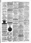 Clare Advertiser and Kilrush Gazette Saturday 03 April 1880 Page 5