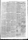 Clare Advertiser and Kilrush Gazette Saturday 29 May 1880 Page 3