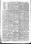 Clare Advertiser and Kilrush Gazette Saturday 29 May 1880 Page 7