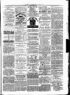 Clare Advertiser and Kilrush Gazette Saturday 10 July 1880 Page 5