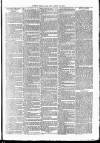 Clare Advertiser and Kilrush Gazette Saturday 24 July 1880 Page 7