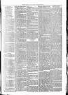 Clare Advertiser and Kilrush Gazette Saturday 14 August 1880 Page 7