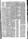 Clare Advertiser and Kilrush Gazette Saturday 04 September 1880 Page 5