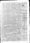 Clare Advertiser and Kilrush Gazette Saturday 02 October 1880 Page 3