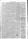 Clare Advertiser and Kilrush Gazette Saturday 23 October 1880 Page 3