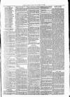 Clare Advertiser and Kilrush Gazette Saturday 23 October 1880 Page 7