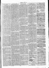 Clare Advertiser and Kilrush Gazette Saturday 30 October 1880 Page 3