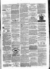 Clare Advertiser and Kilrush Gazette Saturday 06 November 1880 Page 5