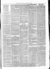 Clare Advertiser and Kilrush Gazette Saturday 06 November 1880 Page 7