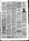 Clare Advertiser and Kilrush Gazette Saturday 13 November 1880 Page 5