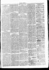 Clare Advertiser and Kilrush Gazette Saturday 20 November 1880 Page 3